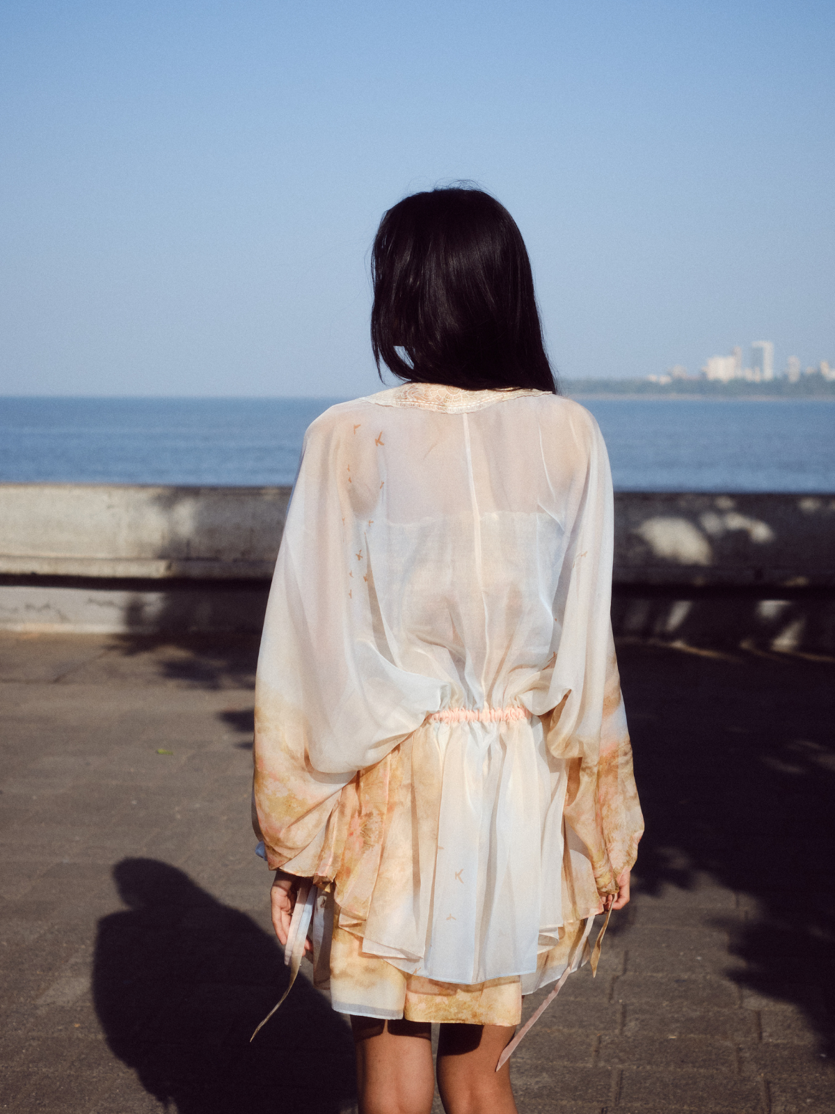 Sheer Overlay Dress With Smocked Inner