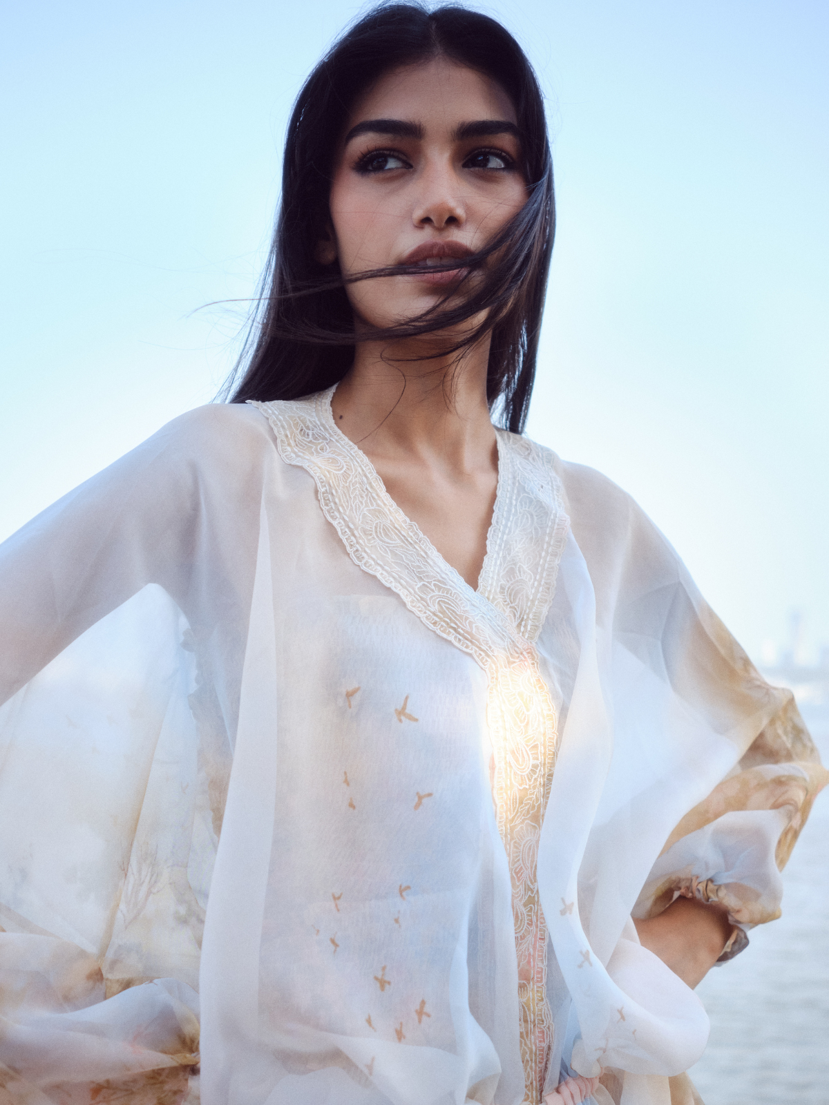 Sheer Overlay Dress With Smocked Inner
